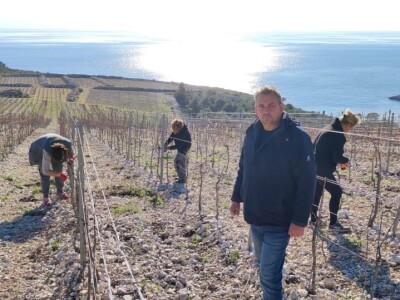 Otočno vinogradarstvo