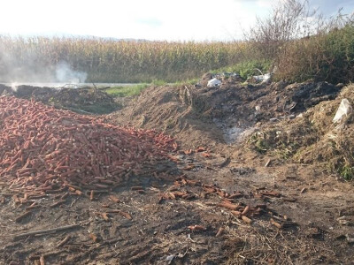 Divlja deponija u Ugarcima