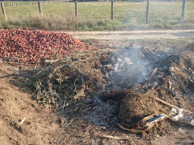 Bez nadzora spaljuje se sve i svašta