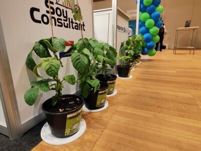 Otvaranje 11. Svetske konferencije o soji