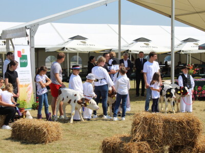 Otvoren 10. FarmShow!