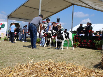 Otvoren 10. FarmShow!