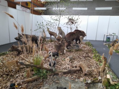 Otvoren 17.  Salori – Sajam lova, ribolova i turizma