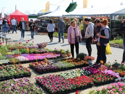 Otvoren 22. proljetni Bjelovarski sajam