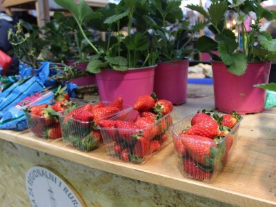 Otvoren 23. međunarodni sajam gospodarstva Mostar