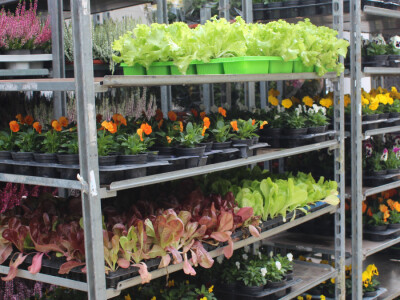 Otvoren 24. Osječki jesenski sajam