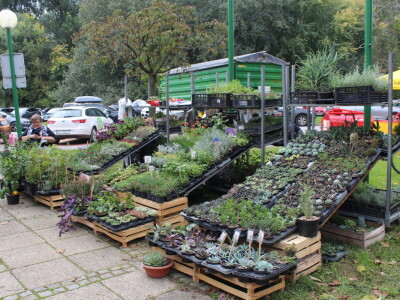 Otvoren 24. Osječki jesenski sajam