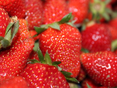 Otvoren 25. međunarodni sajam gospodarstva u Mostaru