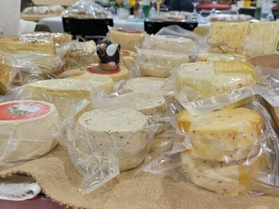 Otvoren 28. Međunarodni sajam gospodarstva, obrtništva i poljoprivrede Viroexpo