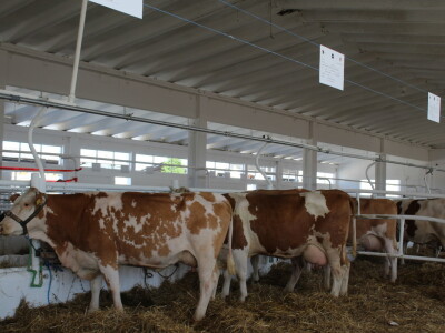 Otvoren 30.Jesenski međunarodni bjelovarski sajam