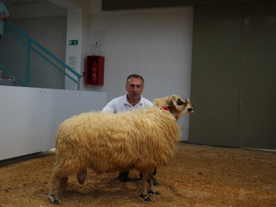 Otvoren 30.Jesenski međunarodni bjelovarski sajam