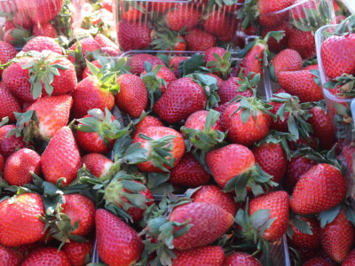 Otvoren 31. Proljetni i 25. Obrtnički sajam u Osijeku