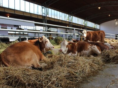 Otvoren 88. međunarodni poljoprivredni Novosadski sajam