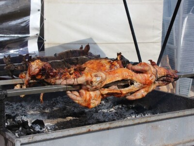 Otvoren 88. međunarodni poljoprivredni Novosadski sajam