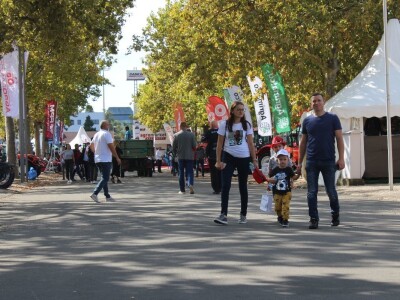 Otvoren 88. međunarodni poljoprivredni sajam Novosadski sajam