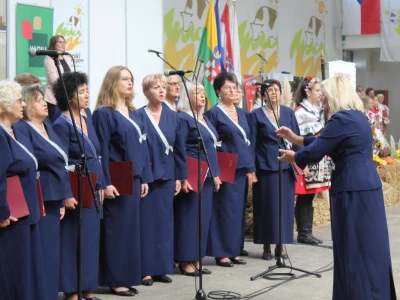 Otvoren je 29. Jesenski međunarodni bjelovarski sajam