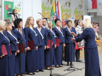 Otvoren je 29. Jesenski međunarodni bjelovarski sajam