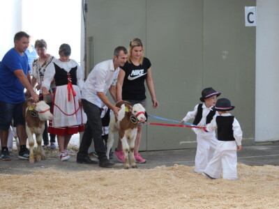 Otvoren je 29. Jesenski međunarodni bjelovarski sajam