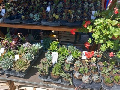 Otvoren je Osječki proljetni sajam