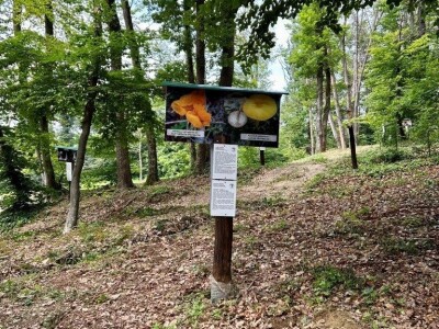 Otvoren prvi Gljivarsko edukativni park u Hrvatskoj Otvoren prvi Gljivarsko edukativni park u Hrvatskoj