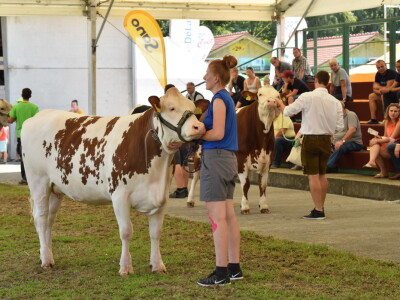 Otvoren sajam AGRA 2021 u Gornjoj Radgoni