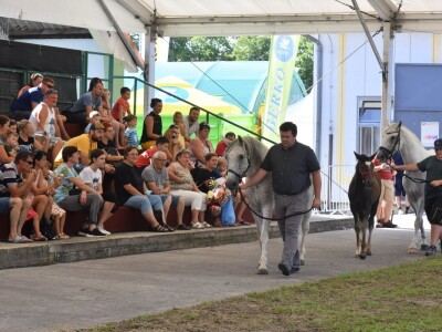 Otvoren sajam AGRA 2021 u Gornjoj Radgoni