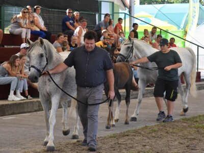 Otvoren sajam AGRA 2021 u Gornjoj Radgoni