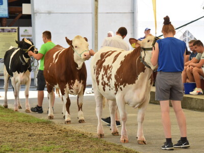Otvoren sajam AGRA 2021 u Gornjoj Radgoni