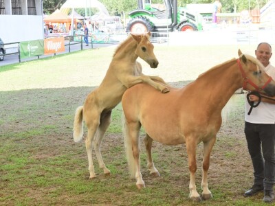 Otvoren sajam AGRA 2021 u Gornjoj Radgoni