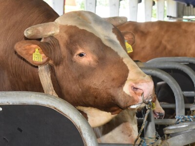 Otvoren sajam AGRA 2021 u Gornjoj Radgoni