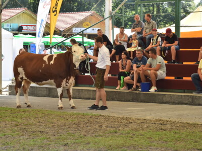 Otvoren sajam AGRA 2021 u Gornjoj Radgoni