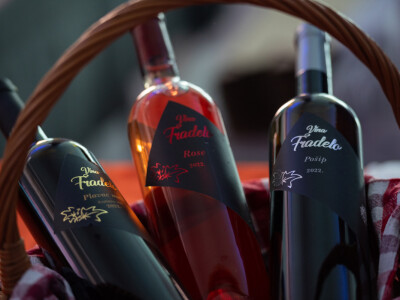 Otvoren Zinfest 2023 - festival Crljenka i rođaka