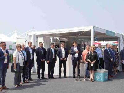 Otvorena 27. Vinistra