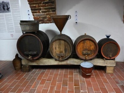 Otvorena izložba "Vino u životu čovjeka" u Bjelovaru