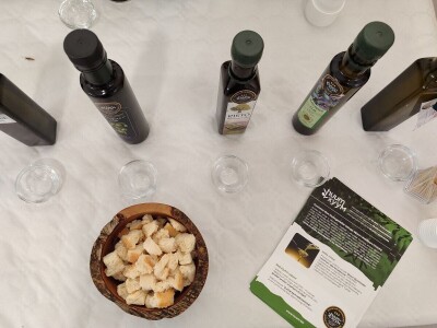 Otvorena prva kušaonica maslinovog ulja u Mostaru