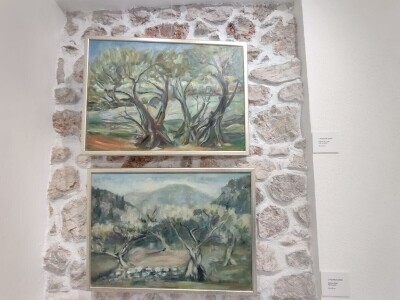 Otvorena prva kušaonica maslinovog ulja u Mostaru