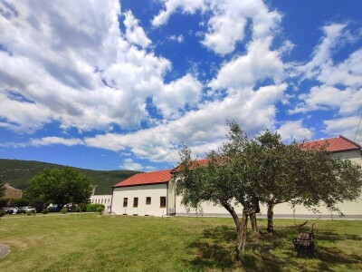 Otvorena prva kušaonica maslinovog ulja u Mostaru