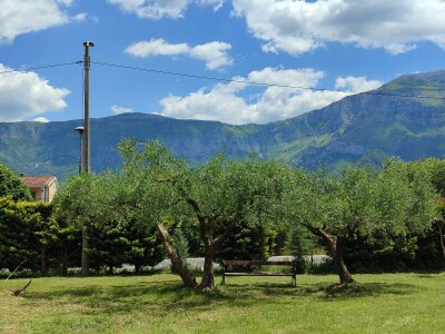 Otvorena prva kušaonica maslinovog ulja u Mostaru