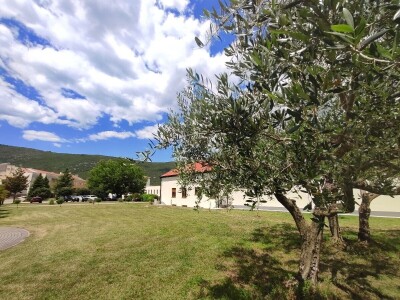 Otvorena prva kušaonica maslinovog ulja u Mostaru