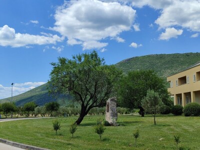 Otvorena prva kušaonica maslinovog ulja u Mostaru