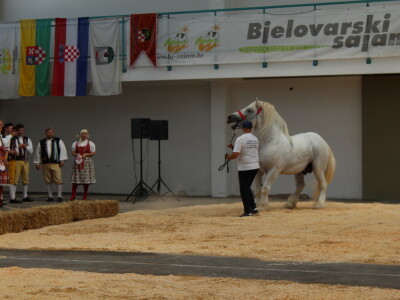 Otvorenje 29. Jesenskog međunarodnog bjelovarskog sajma
