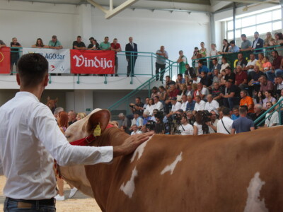 Otvorenje 29. Jesenskog međunarodnog bjelovarskog sajma