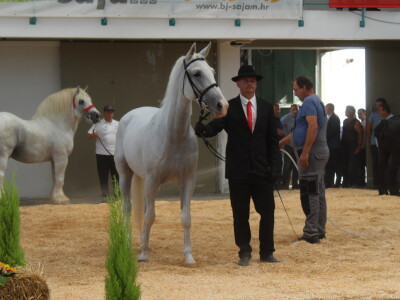 Otvorenje 29. Jesenskog međunarodnog bjelovarskog sajma