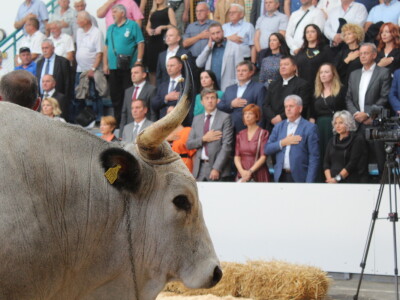 Otvorenje 29. Jesenskog međunarodnog bjelovarskog sajma