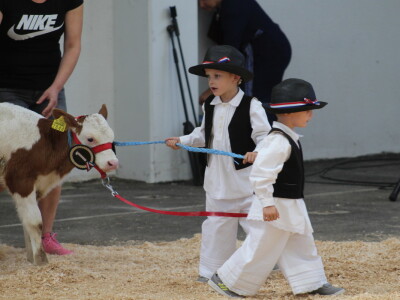 Otvorenje 29. Jesenskog međunarodnog bjelovarskog sajma