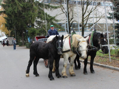 Otvorenje sajma Croagro 2019.