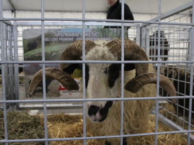 Otvorenje sajma Croagro 2019.