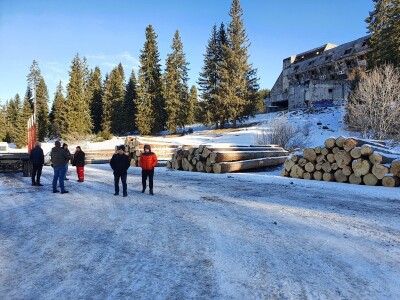 Ovako je izgledala prva javna licitacija cijena drvnih sortimenata na Igmanu