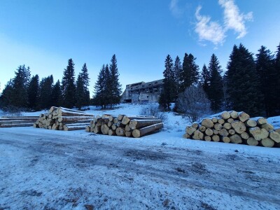 Ovako je izgledala prva javna licitacija cijena drvnih sortimenata na Igmanu