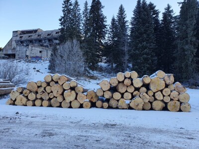 Ovako je izgledala prva javna licitacija cijena drvnih sortimenata na Igmanu
